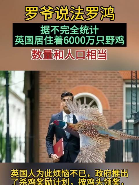 据不完全统计！英国居住着6000万只野鸡，数量和人口相当…