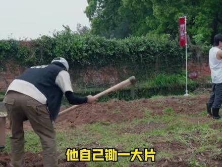 够了！我为丁真的遭遇心碎！