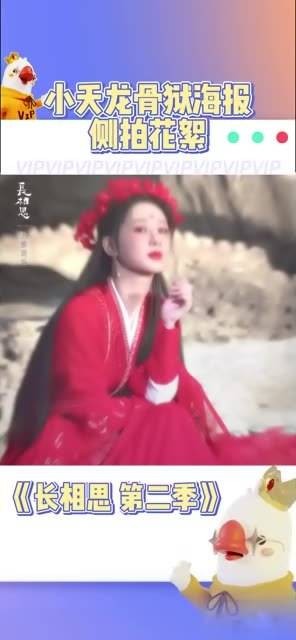 凤凰花如烈焰盛开，红衣翩翩映衬绝代风华，长相思2杨紫