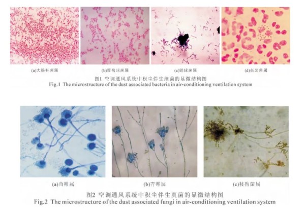 图片来源：《空调系统微生物种类分析及其温湿度控制》