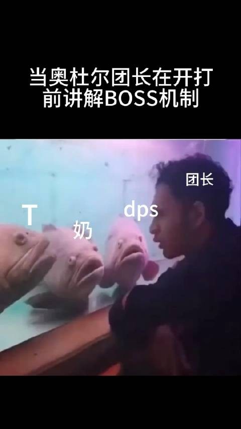 当奥杜尔团长在开打前讲解BOSS机制