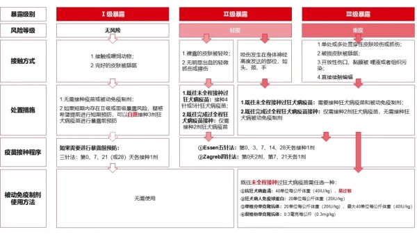 图片来源：作者