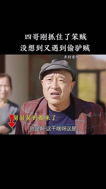 四哥刚抓住了笨贼，没想到又遇到了偷驴贼 我在追好剧 爱情