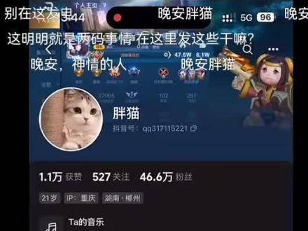 对不起胖猫，这么晚才与你相遇