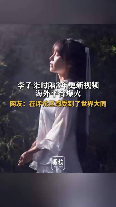 感动！在李子柒评论区感受到了世界大同