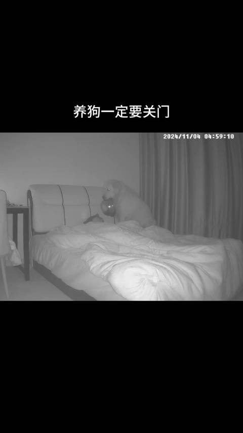 差点给我送走!