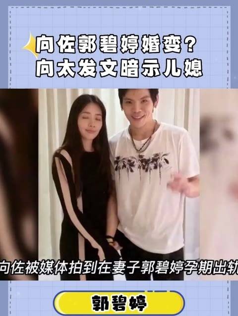 向太发文暗示儿媳：太过聪明会累 婚变传闻引发关注