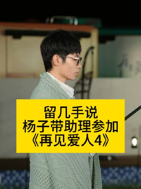 留几手说杨子带助理参加《再见爱人4》