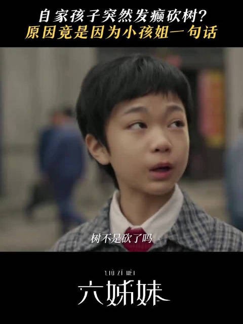 汤为民遭遇砍树遭遇打击,六姊妹愤怒!