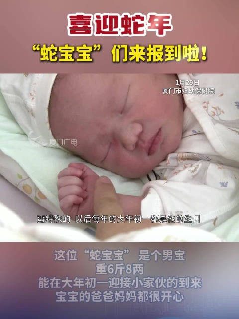喜迎蛇年,“蛇宝宝”们来报到啦!