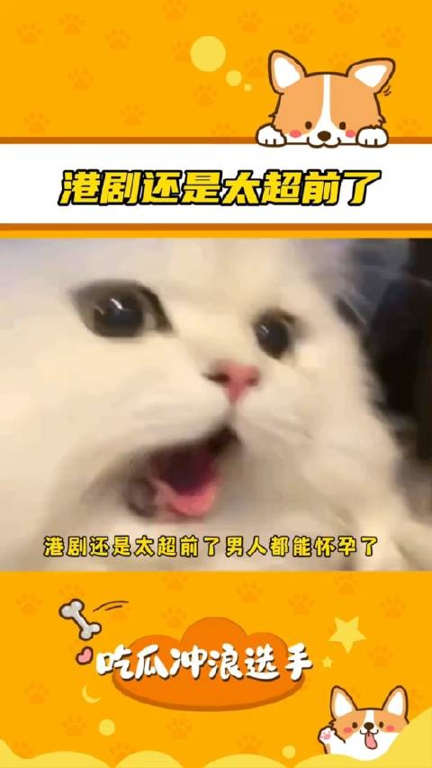 港剧《麻甩妈咪》