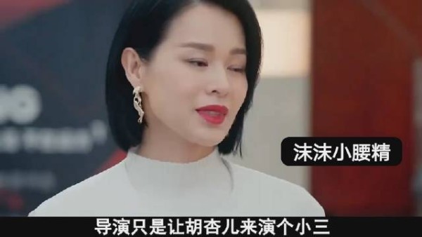 皱眉瞪眼怒吼?孙俪《蛮好的人生》演技被胡杏儿碾压,输在这3点