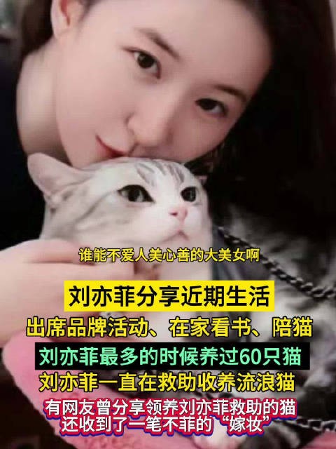 刘亦菲最多的时候养过60只猫
