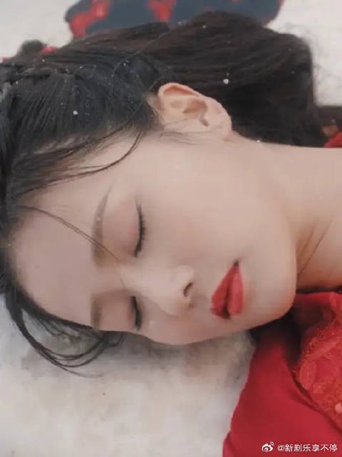 辰此一生，不负天下，唯负十一