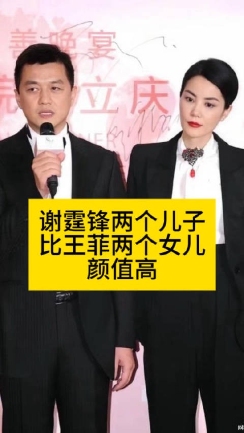 谢霆锋两个儿子,比王菲两个女儿颜值高谢霆锋儿子颜值热点观点