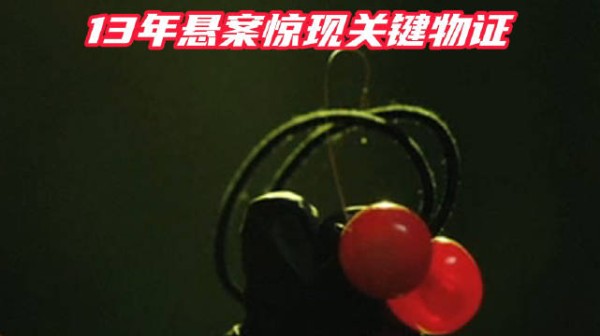 樱桃头饰暗藏夺命密码！13年悬案惊现关键物证湖南经视黄金剧场 好片推荐