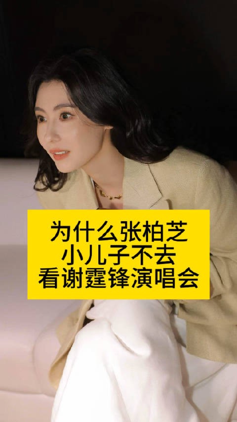 为什么张柏芝小儿子，不去看谢霆锋演唱会谢霆锋儿子颜值热点梳理