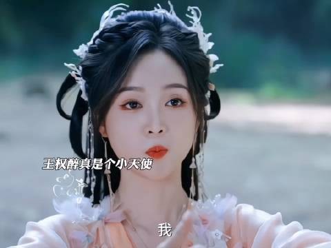 王权醉就是杨一叹的小天使呀
