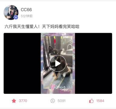 马嘉祺5.11高会更新六斤的麻麻是我们对吗?