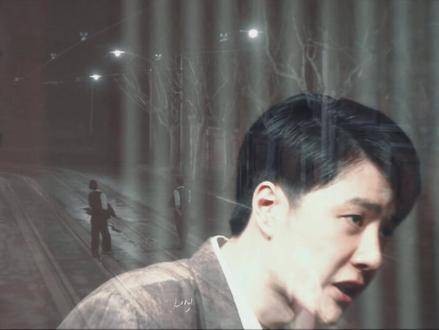魏若来故事经历期待闪耀与遗憾