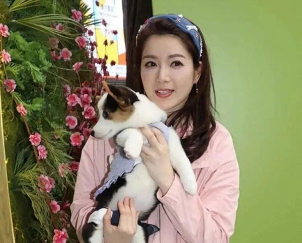 TVB花旦苟芸慧宣布离婚，老公不想要娃成导火索，不排除回巢拍剧