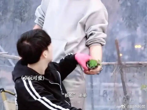 lzh不语只是一味逗lp