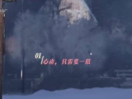 心动,仅需一眼