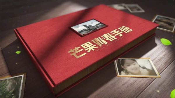 青春是什么？当你打开这本《芒果青春手册》，是否想起来时路上的风景？