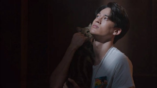 我的天 这一幕 猫咪和妈咪的眸子都好美
