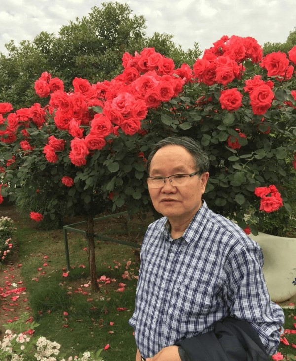 谢有顺：沉默的琴弦｜名家阅读