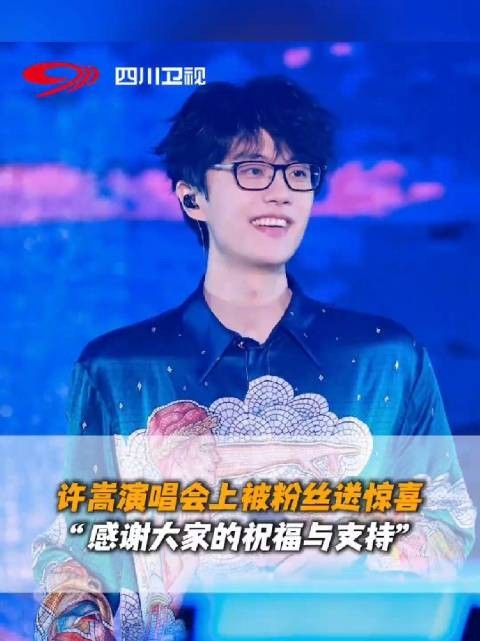 许嵩演唱会被粉丝送惊喜