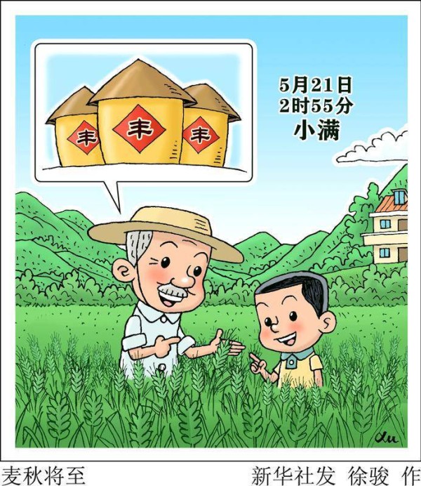 （图表·漫画）节令之美｜麦秋将至