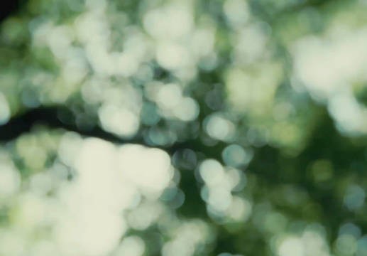 《陷入我们的热恋》你有这样权威的男女主进入内娱拿什么输！