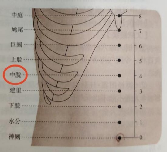 图中标红中脘穴。（受访者供图）