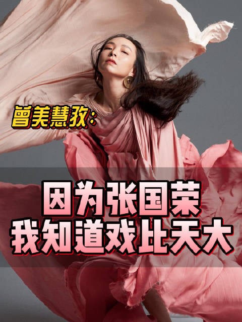 在第38届香港电影金像奖获最佳女主角领奖时说:因为张国荣,我知道戏比天大