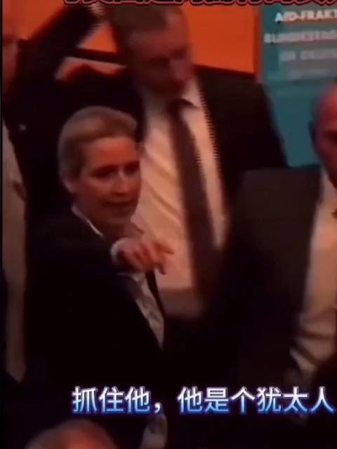 魏德尔痛斥冯德莱恩称美国无好下场