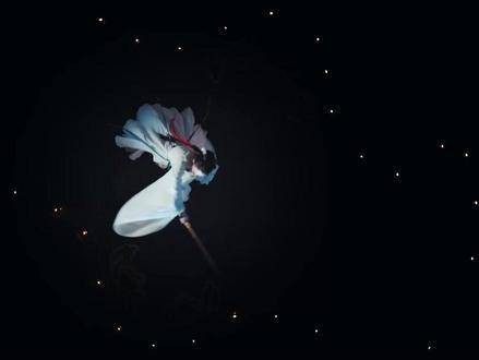 笑中带刀，刀尖映笑，在刀光剑影之间，藏不住的是 对彼此的心动