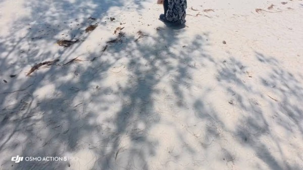 小蛋糕从马来西亚发来了一则资讯 主包给iqc和timi带id啦 画的好可爱!