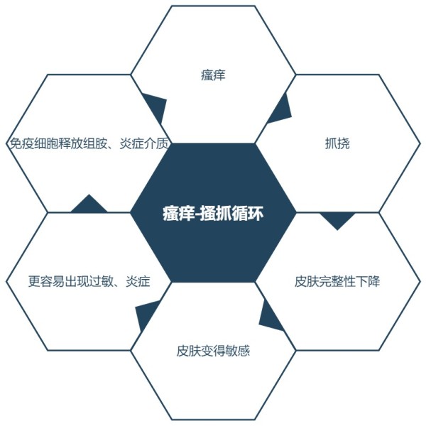 瘙痒-搔抓循环（图片来源：作者自制）