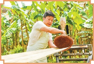 上浆 宋志学在上浆。 本报通讯员周亮摄
