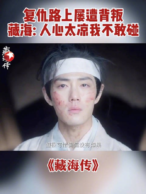 藏海大人并非 “失算”,而是他心始终向善