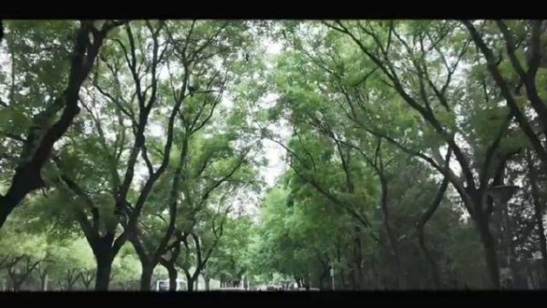 终于成长为想成为的大人了,恭喜21级北电丁程鑫的大学生涯杀青