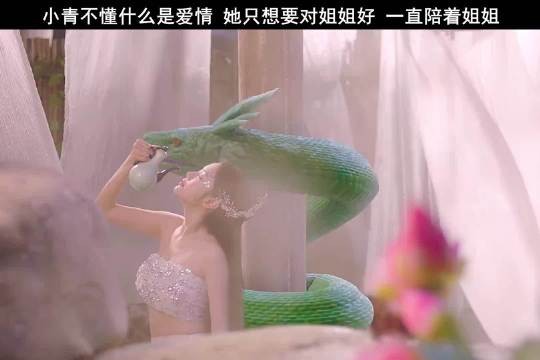 姐姐喜欢男人，小青就变成了男人模样，哪有什么痴心汉，有的只是姐妹深情！