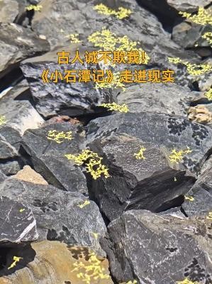 《小石潭记》现实版火了！“水至清”是如何形成的？