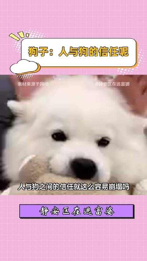 开始还以为是狗子身残志坚的故事