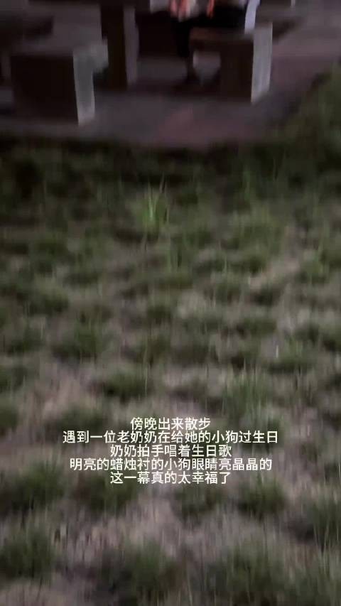 一位在给自己小狗过生日的老奶奶 幸福,治愈