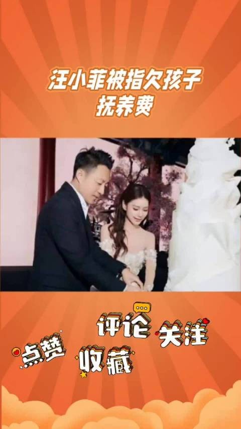 汪小菲年付四千万抚养费，含孩子额外消费百万
