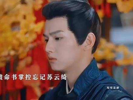苏大小姐,我押你赢