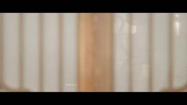 桃花映江山定档