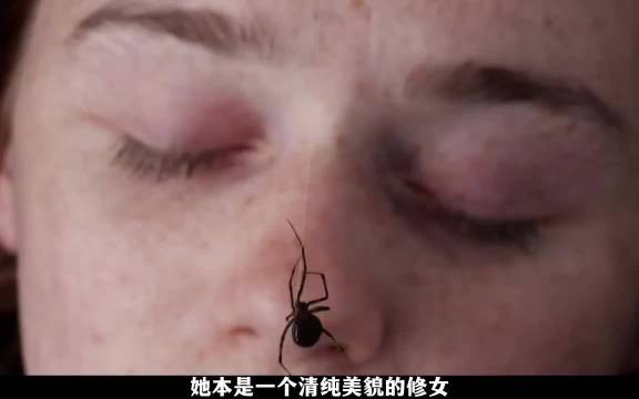 神父误闯神秘小岛，却遭遇难以想象的危险